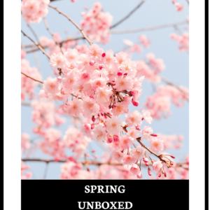 spring unboxed digital magazine cover
