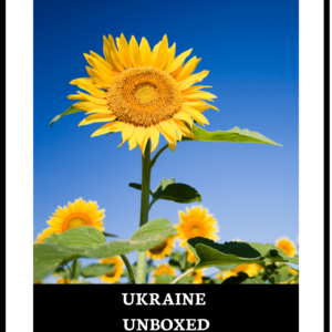 ukraine digital magazine cover with sunflower
